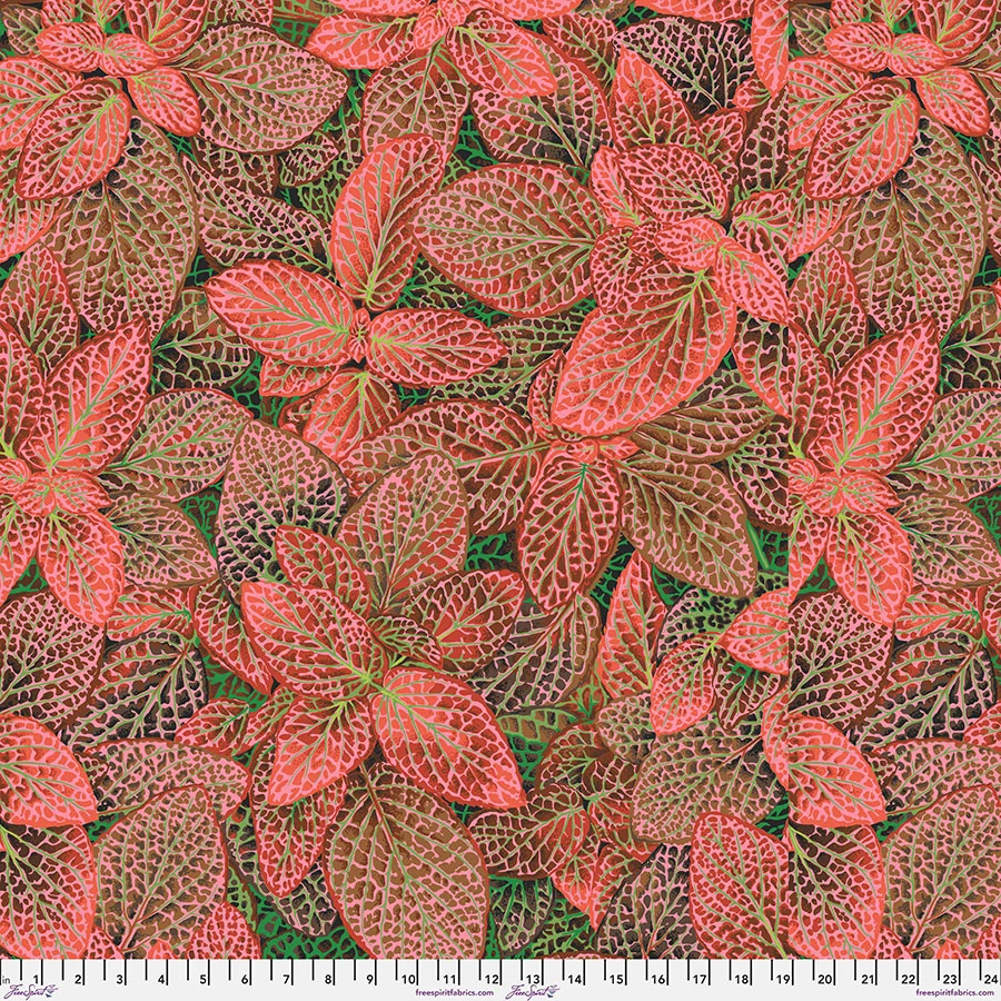 August 2024 / Fittonia / Red