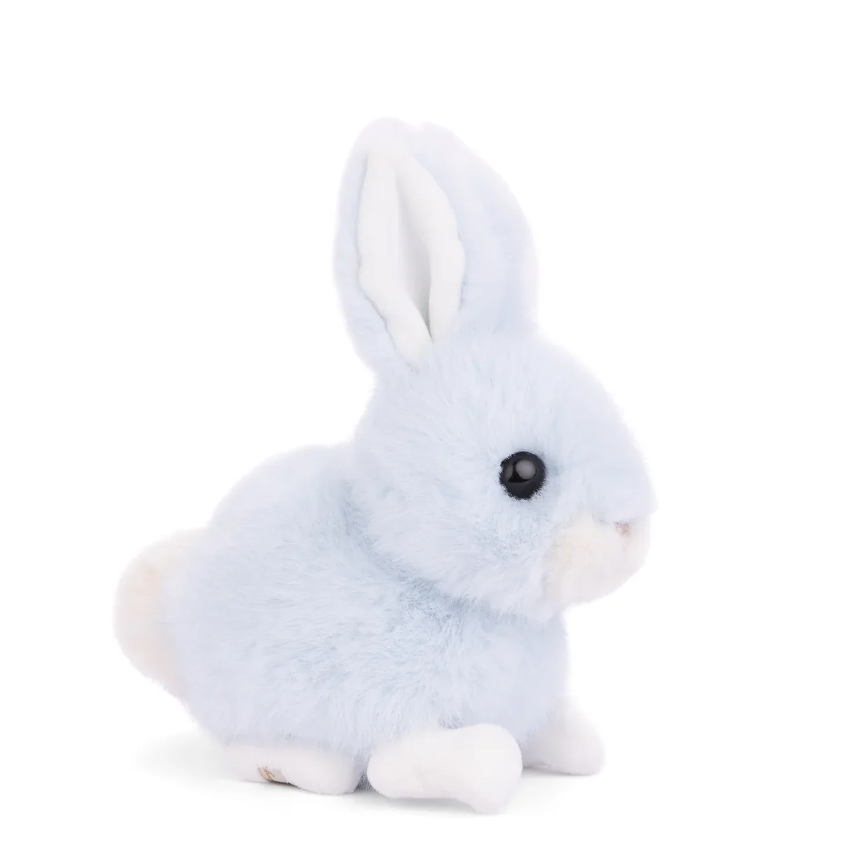 Baby Bunny / Heaven Blue