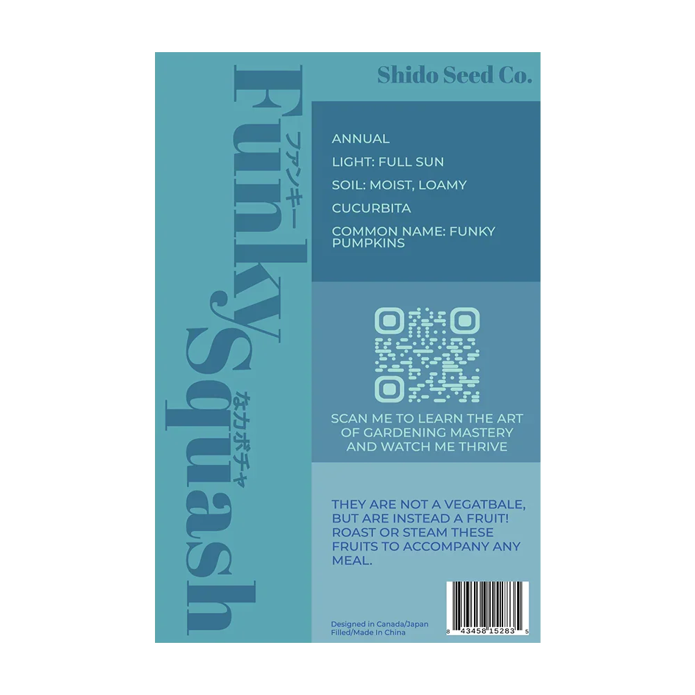 Funky Squash Seeds - Image 2