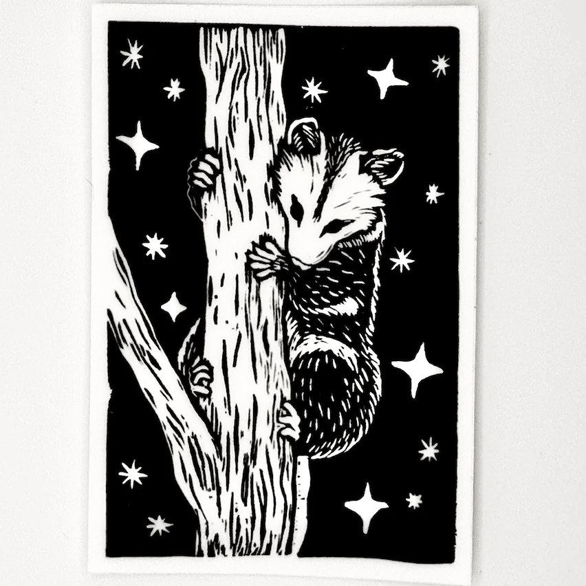 Night Possum
