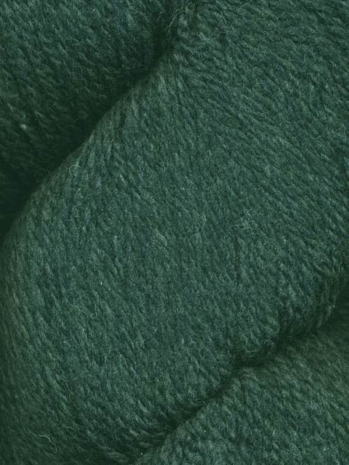 Patagonia / 106 Juniper