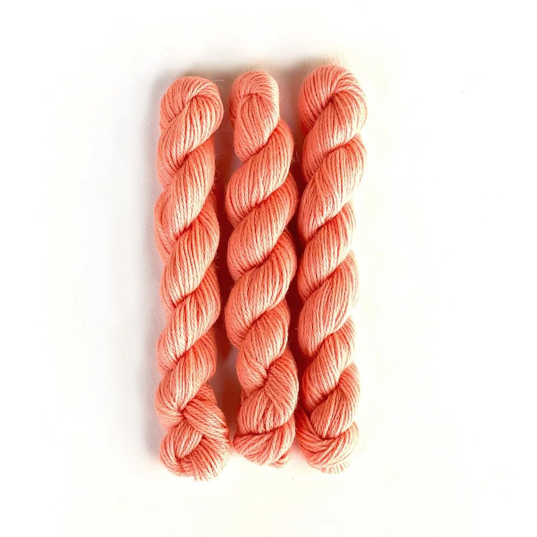 Perennial Minis / 865 Cantaloupe