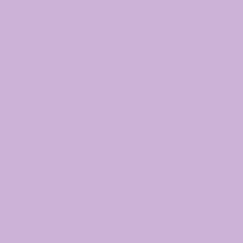 Pure Solids / Day Dreamer