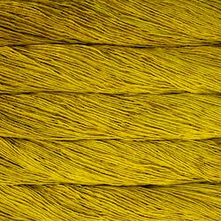 Washted / Frank Ochre