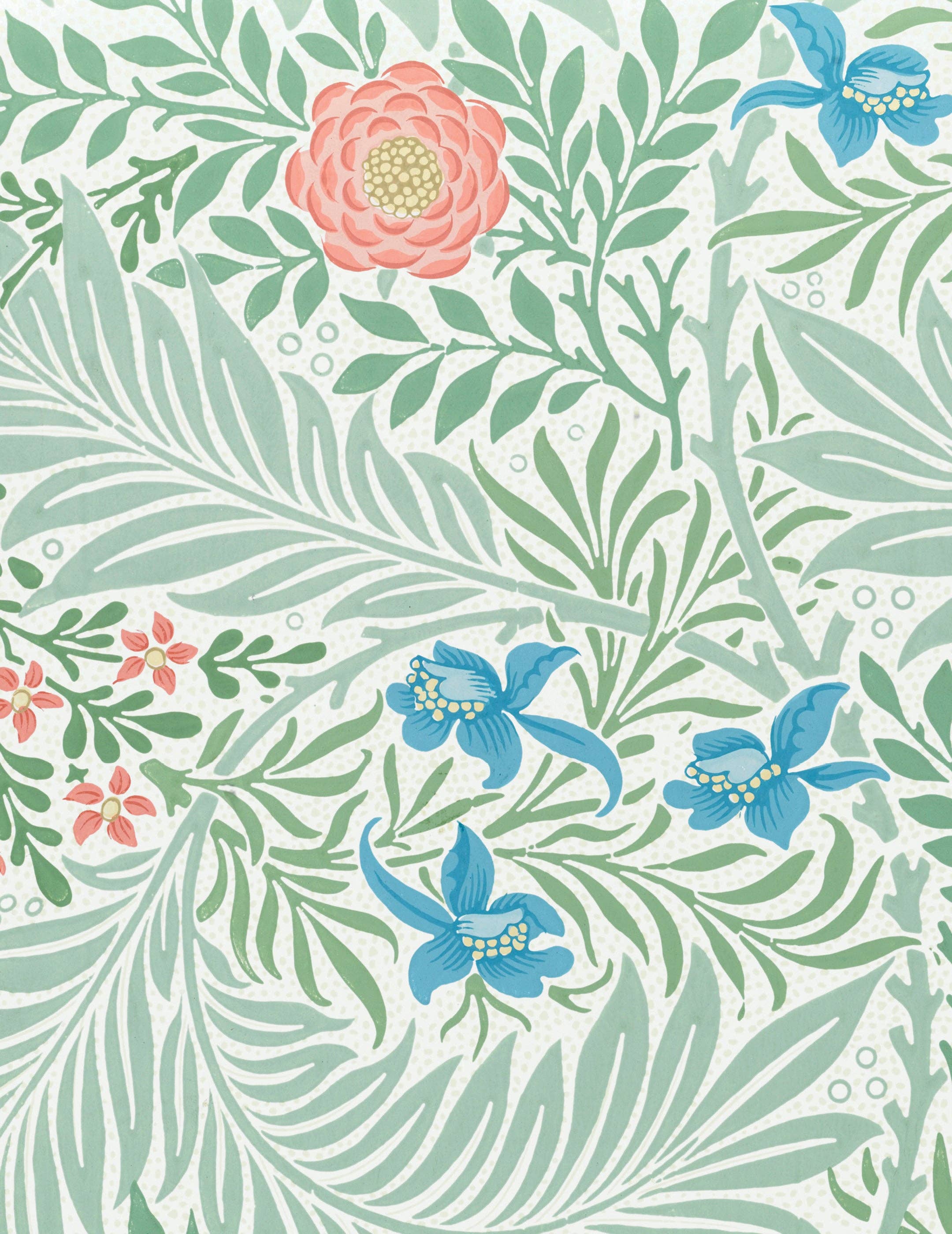 William Morris Keepsake Boxed Notecards - Image 5