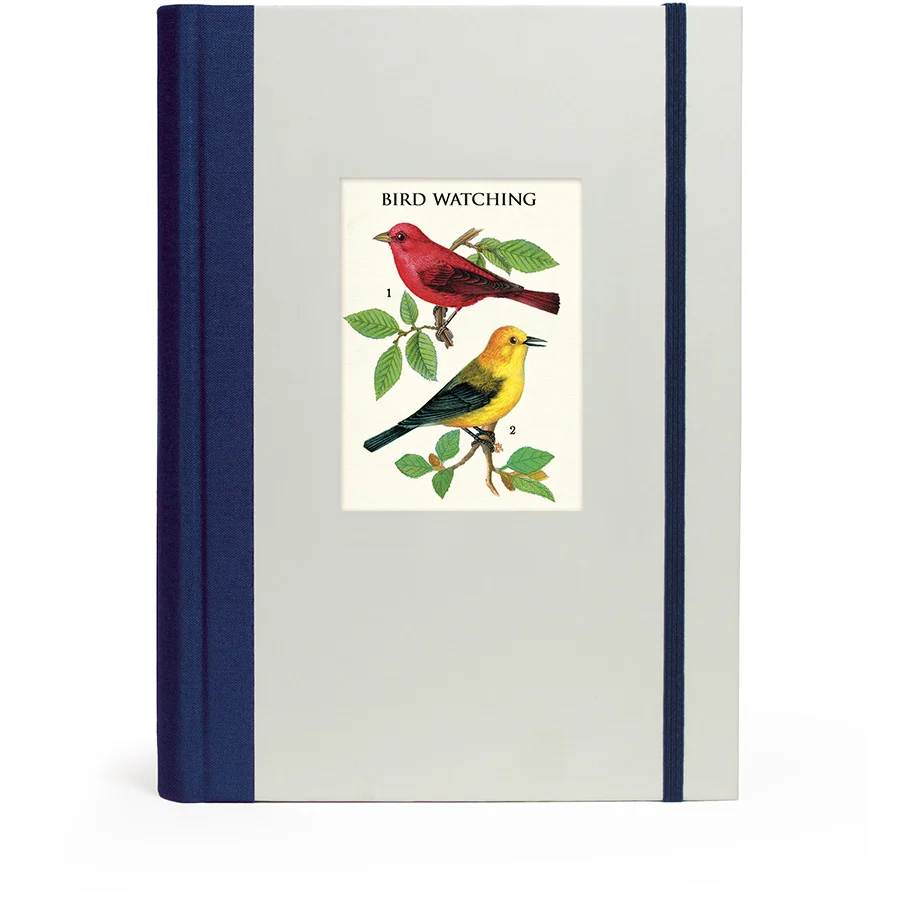 Window Journal / Bird