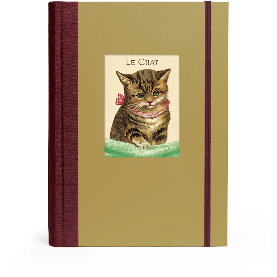 Window Journal / Cat
