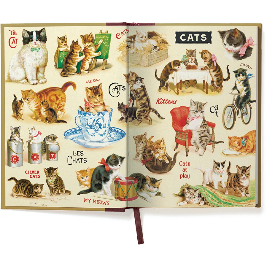 Window Journal / Cat - Image 2